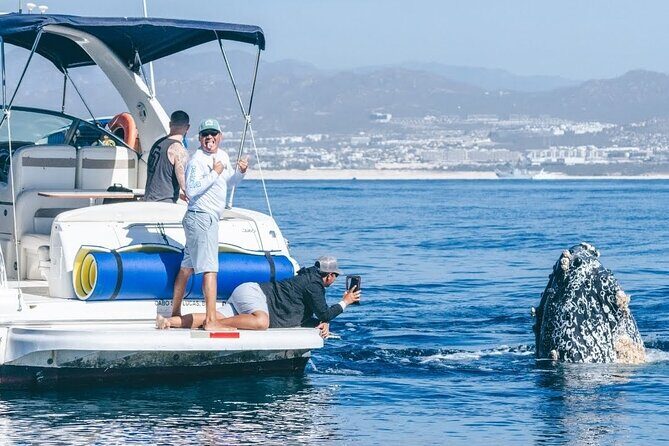 Whale Watching & Snorkeling Private Yacht Tour Cabo with Food & Drinks - Key Points