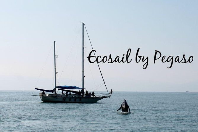 Whale Watching The Best Of Puerto Vallarta - The Sum Up: Who Will Love This Tour?