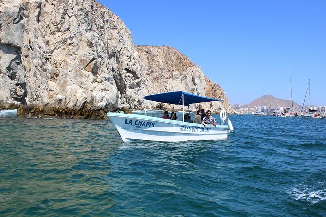 Whale Watching Tour in Glass Bottom Boat (VisitA Cabo) - FAQ