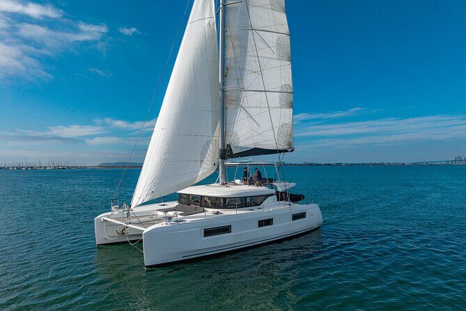 Whale Watching Tour on a Catamaran in San Diego - Key Points