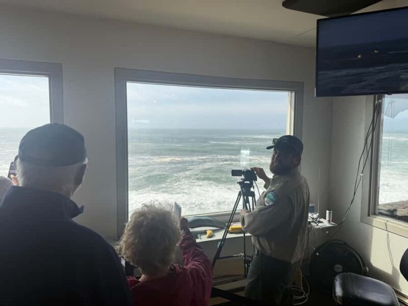 Whale Watching Tour to Depoe Bay, Cannon Beach & Tillamook - Final Thoughts