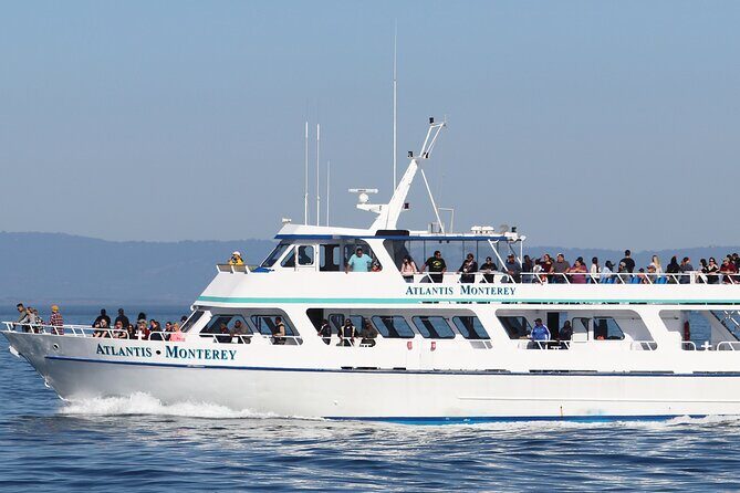 Whale Watching Winter - Exploring the Whale Watching Experience in Monterey