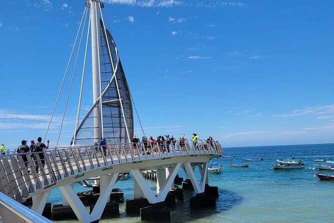 Whale watching with Snorkeling and beach Colomitos - FAQ