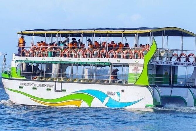 Whales and Dolphins Watching-Luxury Super Grade Cruiser(Hotel Pick up offered) - Key Points