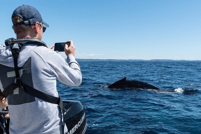 Whales of Sydney Sea Safari - What to Expect on the Tour