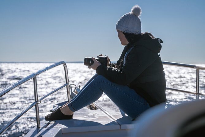 Whales of Sydney Sea Safari - Meet Point and Timing