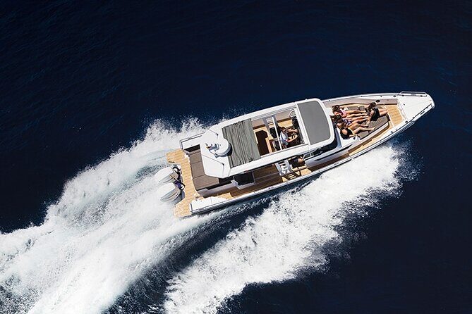 Whales of Sydney Sea Safari - Authentic Reviews and Insights