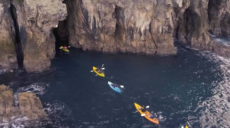 Whangamata: Donut Island Guided Kayaking Experience - Key Points