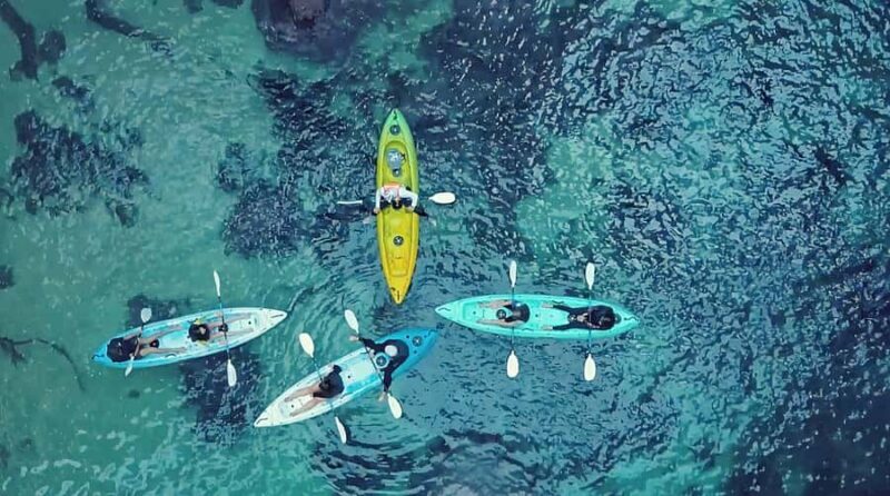 Whangamata: Donut Island Guided Kayaking Experience - Frequently Asked Questions