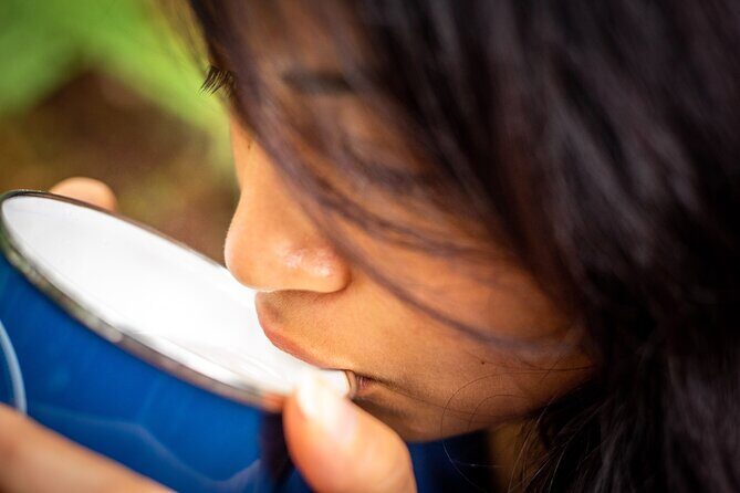 Whirinaki Forest Footsteps: Mori Guided Tour, Picnic & Transfer - An In-Depth Look at the Tour