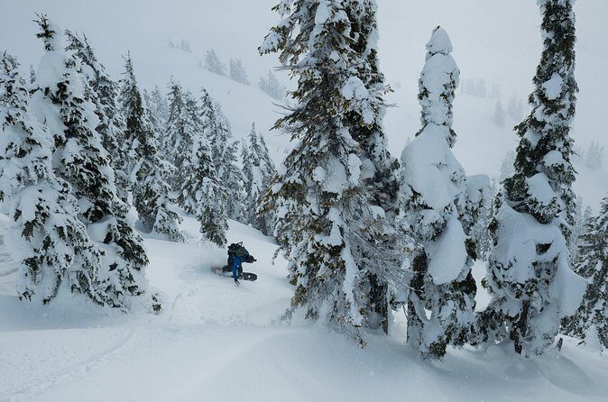 Whistler Backcountry Skiing and Splitboarding - What Makes This Tour Stand Out
