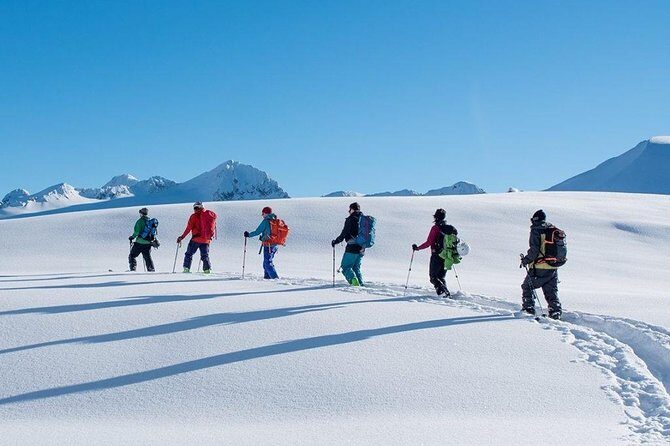Whistler Backcountry Skiing and Splitboarding - Actual Insights from Participants