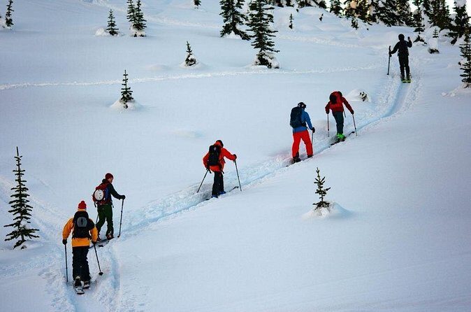 Whistler Backcountry Skiing and Splitboarding - Final Thoughts