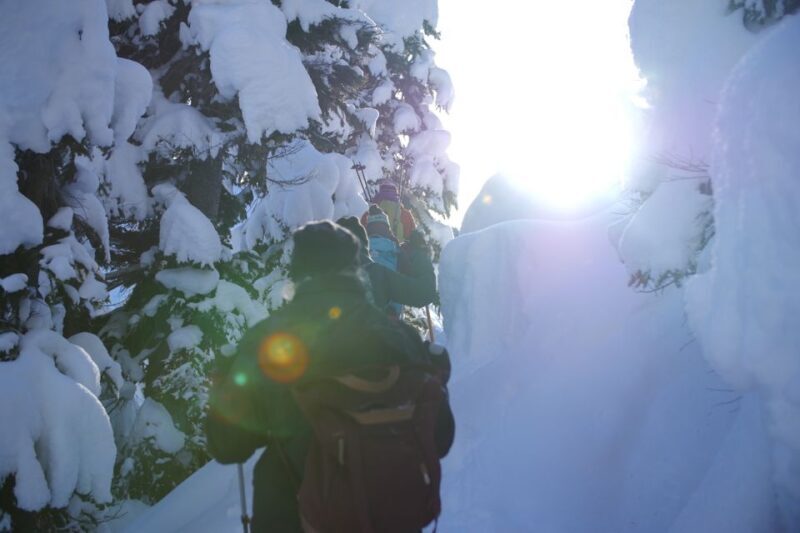 Whistler: Backcountry Snowshoeing Tour with Guide - The Experience: What to Expect