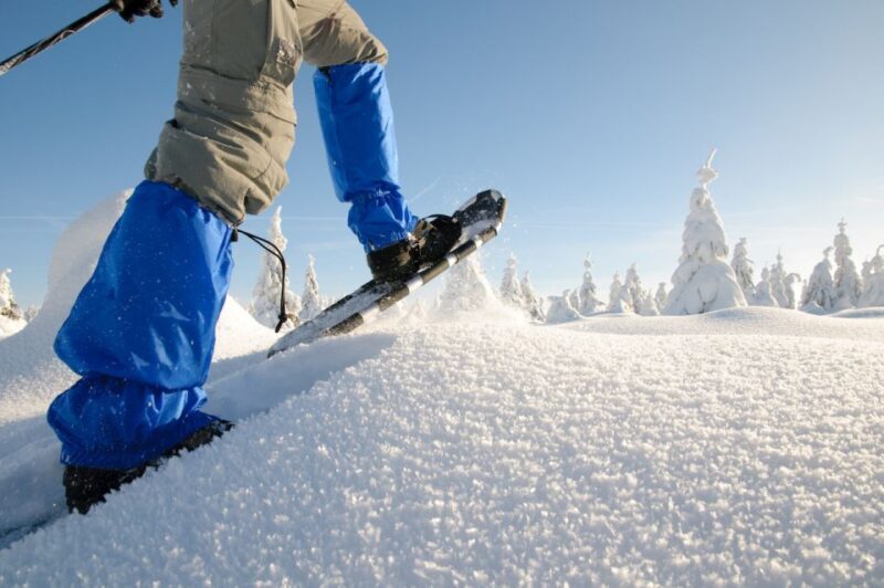 Whistler: Backcountry Snowshoeing Tour with Guide - Who Will Love This Tour?