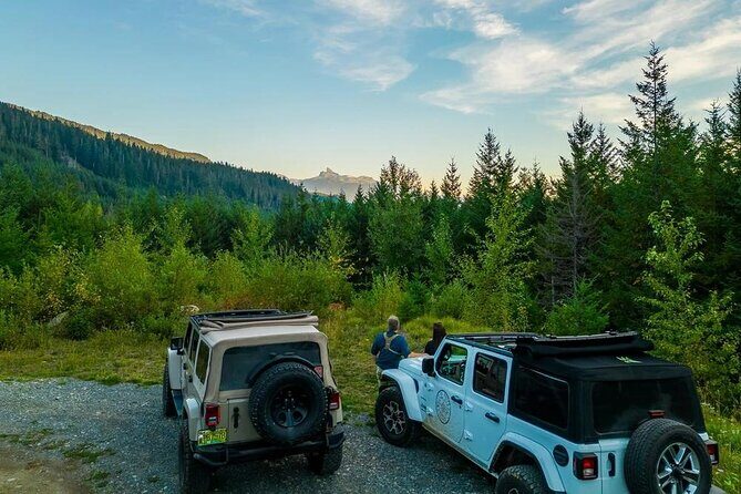 Whistler Bear Tour - Tour Overview: What You’ll Experience