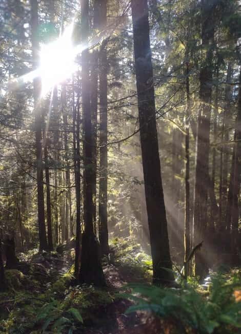 Whistler: Cheakamus Lake Guided Hike in Garibaldi Park - Introduction