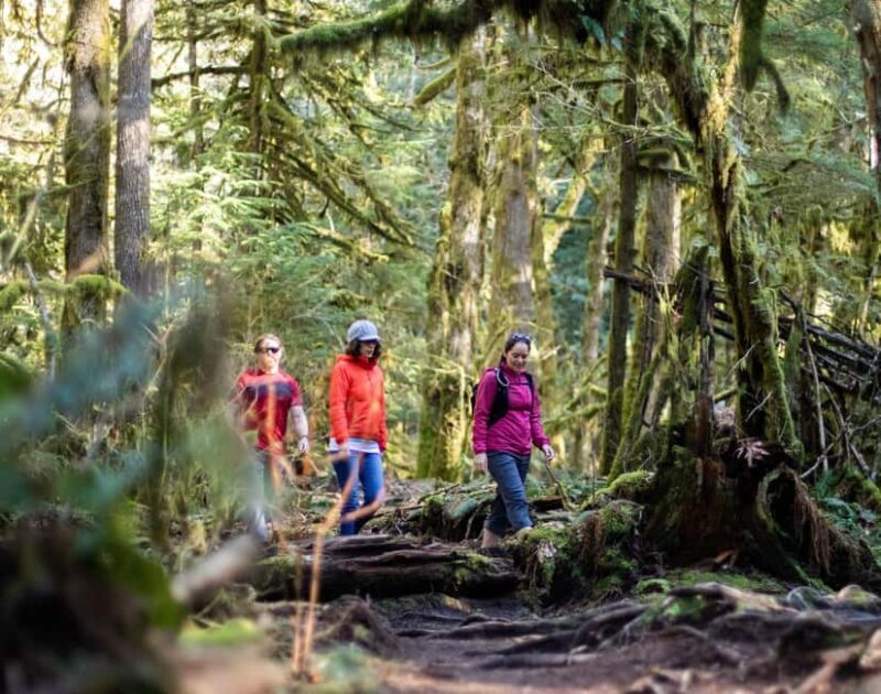 Whistler: Cheakamus Lake Guided Hike in Garibaldi Park - Why This Tour Offers Great Value