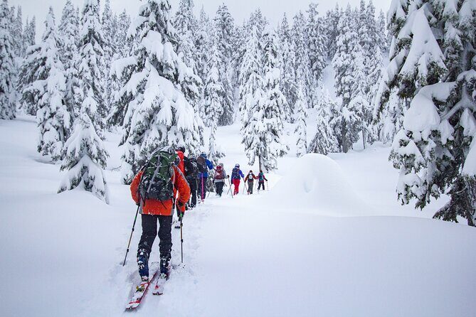 Whistler Intro to Backcountry Skiing and Splitboarding - Who Will Love This Tour?