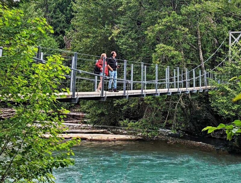 Whistler: Morning with the Bears Land Rover Scenic Excursion - Practical Tips for a Great Trip