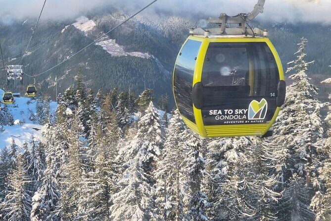 Whistler Sea 2 Sky Gondola, Shannon Falls Small Group Max 12 Tour - Who Should Book This Tour?