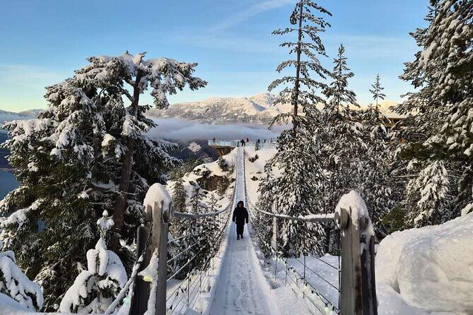 Whistler Sea 2 Sky Gondola, Shannon Falls Small Group Max 12 Tour - The Sum Up