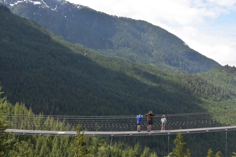Whistler, Sea to Sky Gondola, and Shannon Falls Day Trip - What You Can Expect on This Tour