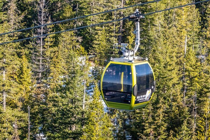 Whistler: Sea to Sky Gondola Shannon and Brandywine Falls Tour - Porteau Cove: Coastal Peace