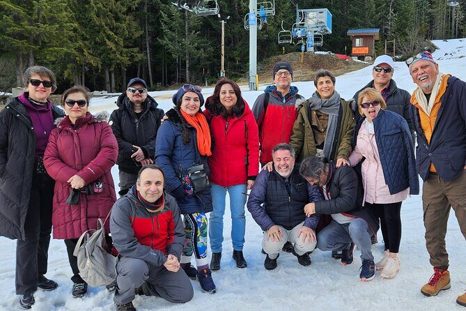 Whistler: Sea to Sky Gondola Shannon and Brandywine Falls Tour - What’s Included and What’s Not