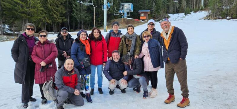 Whistler: Sea to Sky Gondola, Shannon & Brandywine Falls - Whistler Village: The Mountain Resort Town