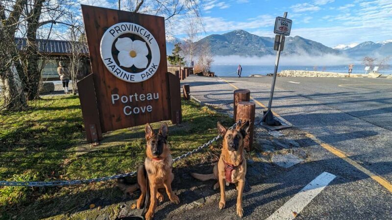 Whistler, Sea to Sky Gondola, Shannon Fall & Green Lake Tour - Final Thoughts