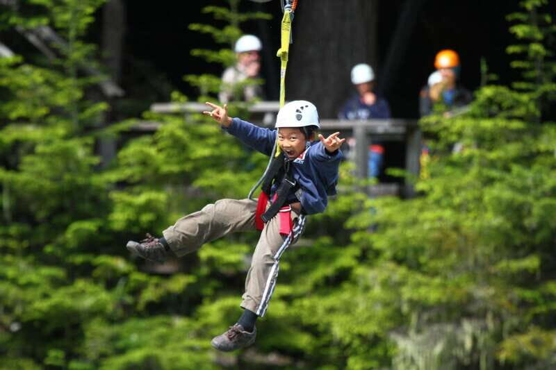 Whistler Zipline Experience: Ziptrek Bear Tour - The Experience and What You’ll Take Away