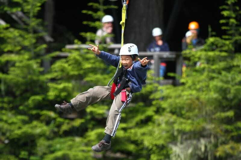 Whistler Zipline Experience: Ziptrek Bear Tour - Who Should Consider This Tour?