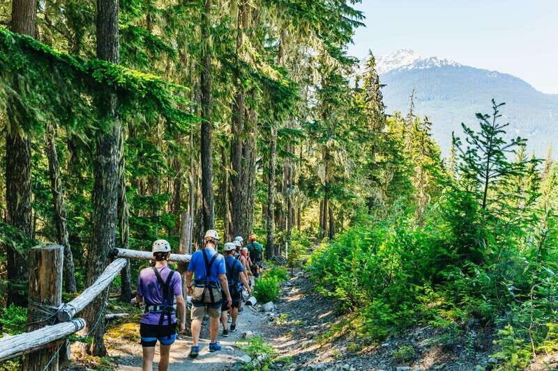 Whistler: Ziplining Experience - The Scenic Value and Environmental Focus