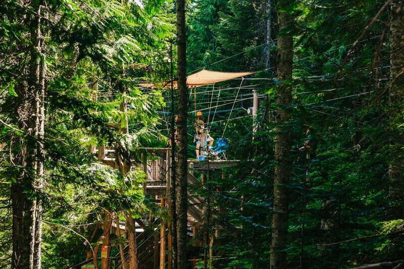 Whistler: Ziplining Experience - Pricing and Value for Money