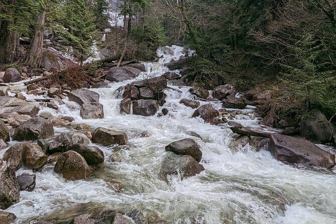 Whistler+Sea 2 Sky Gondola+Shanon Fall+GreenLake+Porteau CoveTour - FAQ