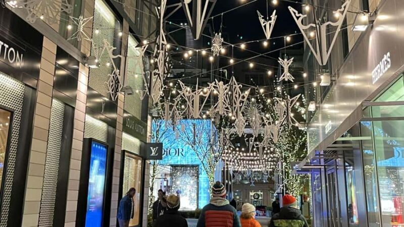 White House National Christmas Tree & Holiday Light Bus Tour - What Travelers Say