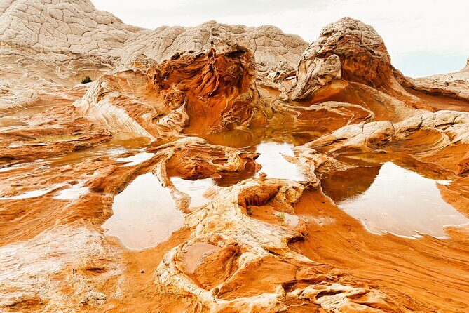 White Pocket Morning Off-Road Guided Hike Activity (Small Group) - Key Points