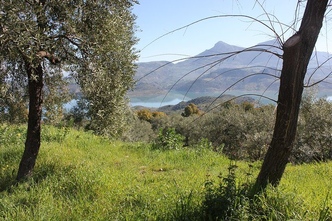 White Villages and Ronda Day Trip from Seville - Frequently Asked Questions