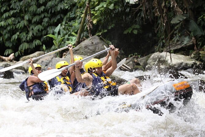 White Water Rafting in Bali - White Water Rafting in Bali: An Adventurous Dive into Nature’s Finest