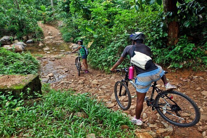 White Water Rafting in Kitulgala From Kandy - The Itinerary: What to Expect