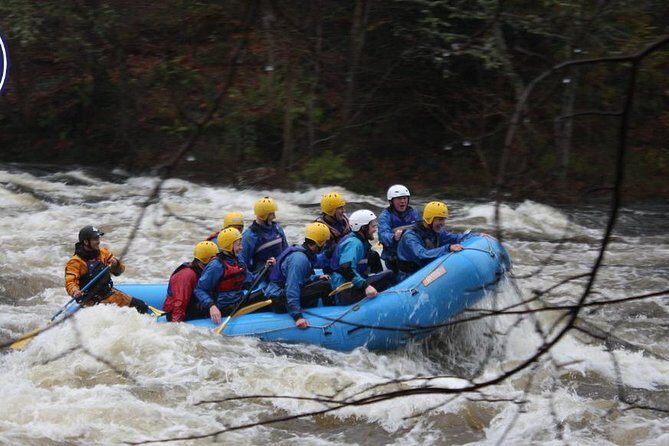 White Water Rafting on the River Tay from Aberfeldy - The Itinerary: From Calm Waters to Rapids