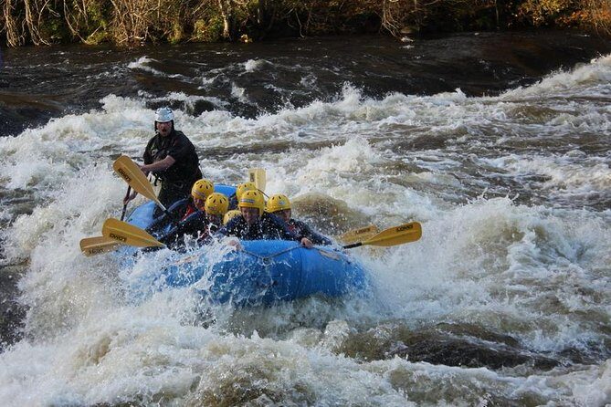 White Water Rafting on the River Tay from Aberfeldy - The Scenery and Wildlife