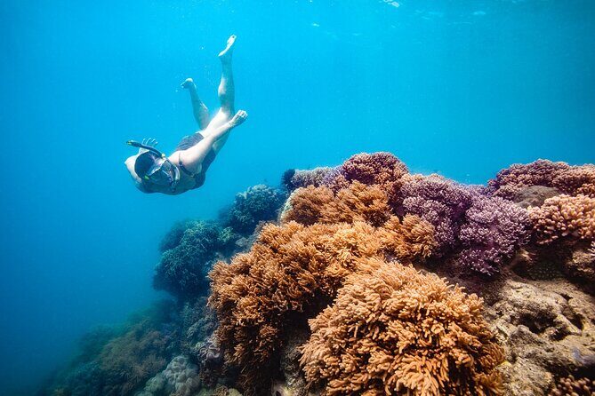 Whitehaven Beach and Hill Inlet Lookout Snorkeling Cruise - An Authentic Day in the Whitsundays: Whitehaven Beach & Hill Inlet Lookout Snorkeling Cruise