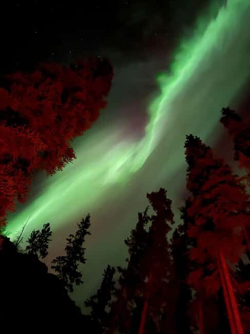 Whitehorse: Aurora Viewing with Wild Adventure Yukon - What to Expect on the Tour