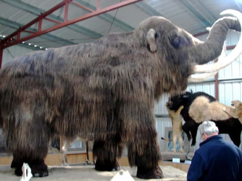 Whitehorse: Aurora Viewing with Wild Adventure Yukon - The Sum Up: The Value of a Yukon Night