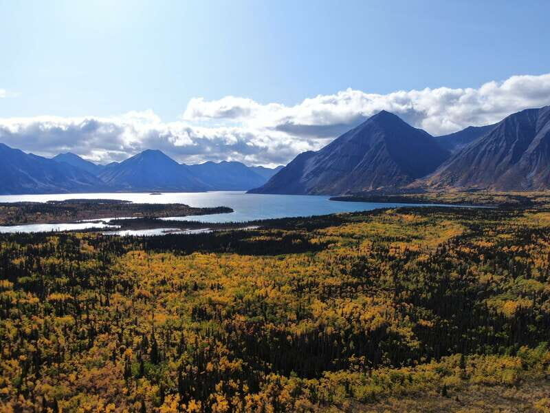 Whitehorse: Kluane - Wildlife & Vistas - Analyzing the Experience: A Deep Dive into the Tour