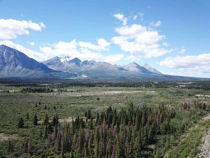 Whitehorse: Kluane - Wildlife & Vistas - Who Would Enjoy This Tour?