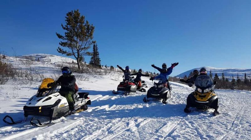 Whitehorse: Snowmobile Tour on the Dawson Overland Trail - Analyzing the Value