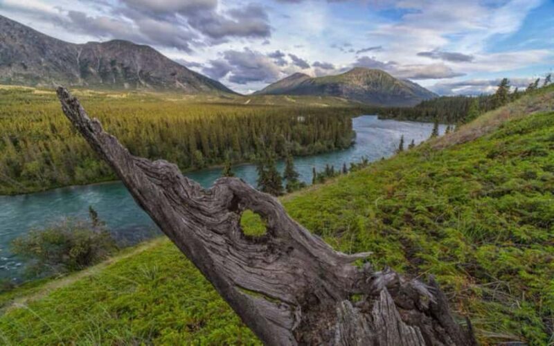 Whitehorse : Takhini Self-Guided Half Day Paddle Adventure - An Authentic Yukon Paddle Experience